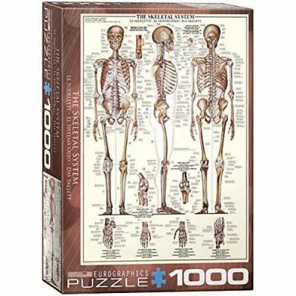 Szkielet człowieka, 1000el.(Smart Cut Technology) - Sklep Art Puzzle